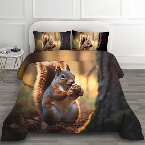 Couette 140x200 Hiver écureuil Decoration - Duvet Douce et Chaude, Couette 1 Personne Imprimée, Couette sans Housse Lavable, Edredon avec 1 Taie d'oreiller H*-164