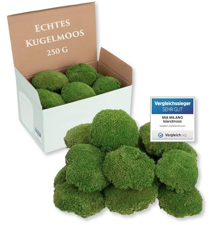 Mia Milano I Muschio a Palla Conservato Verde Naturale I Muschio Decorativo Islandese per Foto di Muschio e Decorazioni I 250 g