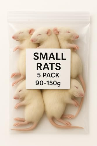 SiarFrozen Small Rats, 5 Pack, Premium Frozen Whole Prey, 90-150g Each, for Reptiles and Birds of Prey, Adult Animal Feed