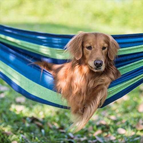 Hängematte Outdoor 1 Personen Strapazierfähiges Segeltuchgewebe mit Einer Tragfähigkeit von 200kg mit Tragetasche für Terrasse Hof Garten