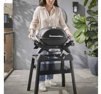 WEBER Barbecue à gaz Q 1200N Noir avec Pied