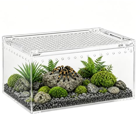 Terrario per rettili, terrario per rettili, mini terrario faunario, 20 x 15 x 10 cm, terrario in acrilico con chiusura magnetica e coperchio scorrevole, vivario trasparente per insetti, ragni di