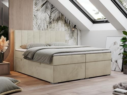 MKS MEBLE Boxspringbett 200x200, Bett 200x200 mit Matratze und Topper, Boxspringbett mit Bettkästen, Polsterbett mit Kopfteil - Lope - Beige Velvet - H3