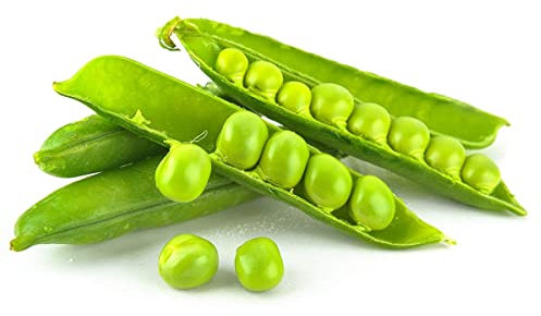 gondian - Graines de Pois Nain Lincoln - sac de 5 kgs