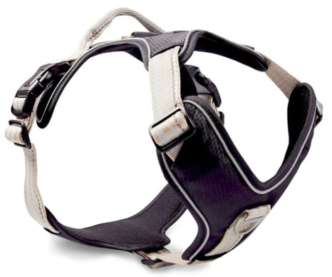 Wolters Geschirr Active Pro, Größe:55-65 cm, Farbe:Champagner/schwarz