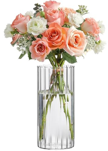 Stilvolle zylindrische Glasvase für Dekorative Blumenarrangements, moderne Möbel zur Einweihungsparty - klare Vase für Wohnzimmer, Hochzeit und Tischdekoration (20cm)