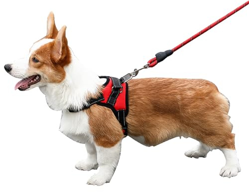 Dinghaole Dog leash pet chest and back,Dog Harness No Pull,Breathable Adjustable Pet Harness Dog Vest Harness,Step-in Breathable Reflective Puppy Cat Dog Vest Harnesses for Small Medium Dogs