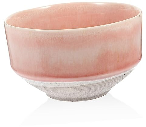 PRETYZOOM Ciotola in Ceramica Spessa Nordic Aesthetics Coral Inches Versatile Per Zuppa E Noodles