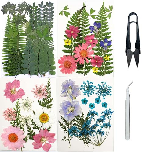 Cayway 4 Pacco Fiori Secchi per Resina Naturali Pressati Fiori Pressati Secchi, Fiori Pressati Secchi Naturali per Scrapbooking, Gioielli in Resina Epossidica ( Verde Rosa Blu)
