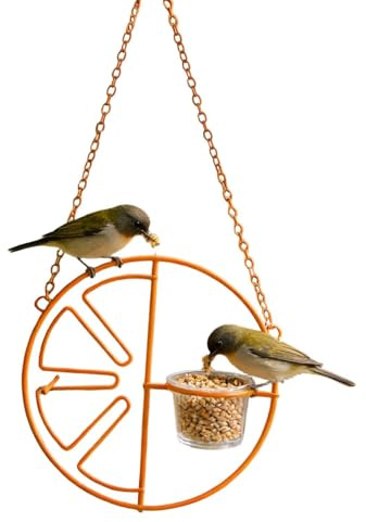 Mangiatoia per Uccelli da Esterno - Altalena con Funzione di Alimentazione e Stile Decorativo,Contenitore per Cibo di Cornacchie e Animali Domestici,per Frutta Verdura Arancia Balcone Terrazzo