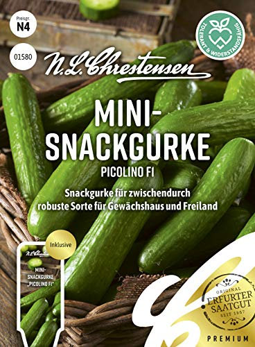 Snackgurke Picolino F1, Packungsgröße N4, Portion Saatgut, Chestensen Mini Snack Gurken Samen