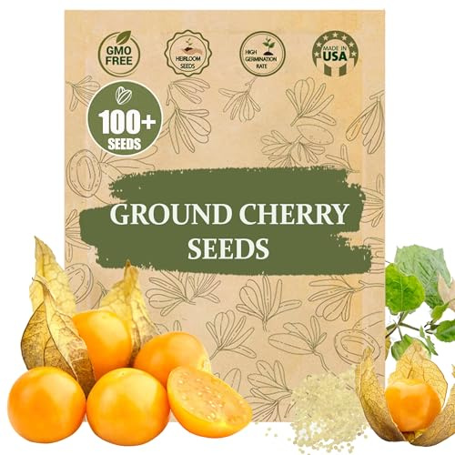 Premium Cape Gooseberry Seeds (Physalis peruviana) – 100+ Non-GMO Heirloom Seeds for Planting – Sweet, Tangy Ground Cherries with High Germination Rate