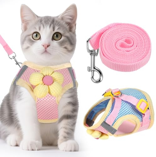 1 styck, kattkoppel, kattsele för katter, kattsele som går sönder säkert, för promenader och träning, perfekt för små katter