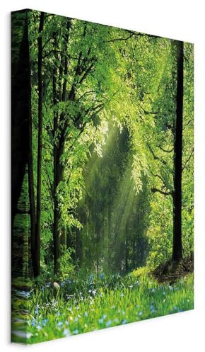 murando - Akustikbild Wald Natur 80x120 cm 1 tlg Bilder Akustikschaum Hochleistungsschallabsorber Schallschutz Leinwand Wandbild Raumakustik Schalldämmung Bäume Wiese c-C-0417-b-a