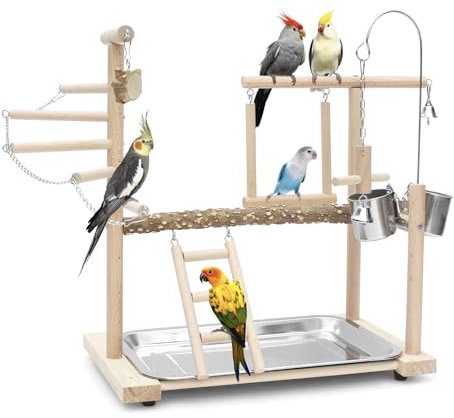 Papageien Spielplatz, Vogel Spielplatz Holz Sitzstange Stand Farben Klettern Leitern Schaukel Kauspielzeug mit Sittich Fütterung Tassen Übung Activity Center für Unzertrennliche