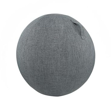 zalati Yoga Ball Cover 21.6 Exercise Ball Protector Balance Ball Protection Sitting Ball Chair Case for Yoga Clean Care Supplies