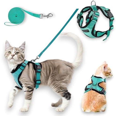 BLOCKBAT® Arnes para Gatos, con Correa de 150cm, Antiescape, Cómodo y Reflectante, Fabricado en Malla Transpirable Suave, Arnes Gato, Cosas para Gatos, arnes Gato Pequeño. (XS, Verde)