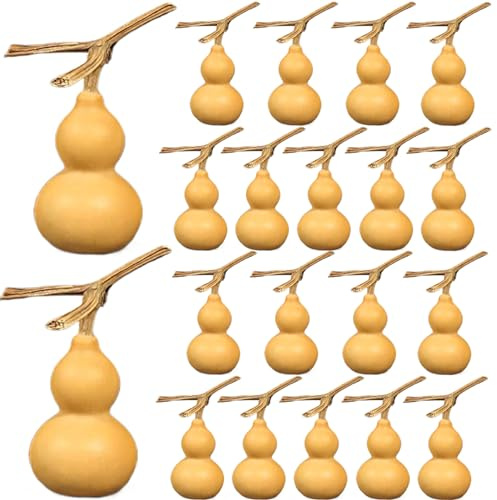 20 pezzi zucche secche 1, 57-2, 36 pollici bottiglia di bottiglia secca naturale mini gols simpatici secchi per mestieri e decorazioni