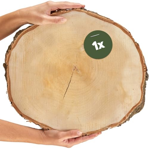 Disco de Madera Grande de 35 cm (33-37 cm) de Diámetro para Manualidades y Decoración - Redondo de Abedul Natural - 1 Pieza