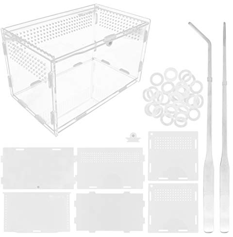 Akrylreptilmatningslåda 20 x 12 x 12 cm transparent glasavelsbox terrarium med 2 st rak och böjd pincett för husdjur insekt spindel syrsor sniglar eritkrabbor ödla
