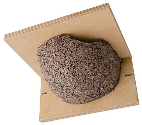 Vivara Nichoir pour Hirondelle de Fenêtre - Oiseau - Animaux - Maisonnette pour Oiseaux - 797 Grams