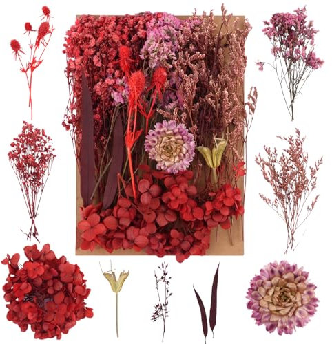 Trockenblumen, Natürliche Gemischte Getrocknete Blumen, Trockenblumen Zum Basteln, Trockenblumen Klein für DIY Epoxidharz Scrapbook Zubehör Handwerk Karten Weihnachten Halloween(Rot)