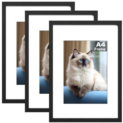 RUN HELIX A4 Picture Frame Set of 3, A4 Frame, White Picture Frames 22.6 x 31.3cm, A4 photo Frames,Plexiglass, A4 Poster Frame With Stand Table Top or Wall Hanging (Black, A4-3P)