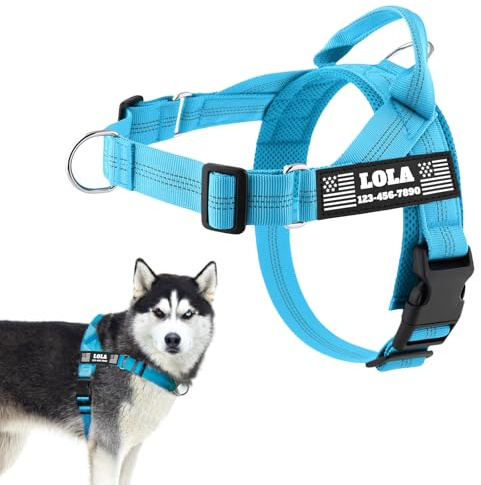 PETAILAUREL Personalized No-Pull Dog Harness with Custom Patches, Blue