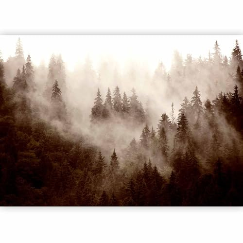 murando Photo Wallpaper Forest Fog 400x280 Centimetres | Non-woven Premium Art Print Fleece Wall Mural Decoration Poster Picture Design Modern Nature Landscape scandinavian