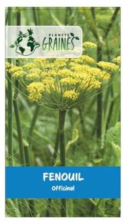 100 Graines de Fenouil commun pour un potager parfumé - Facile à cultiver
