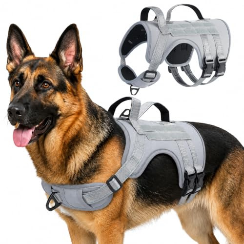 Avepisry Anti Pull Dog Harness, Reflective Adjustable Padded Breathable Dog Harness for Medium Large Dogs, No-Choke Front Back Clips Service Dog Vest Harness for Outdoor Walking Training (Grey, M)