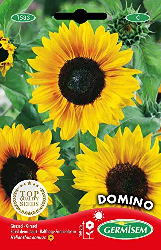 Germisem Domino Semi di Girasole 2 g