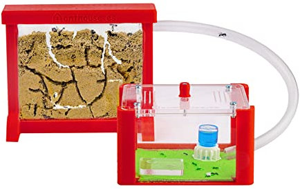 AntHouse - Natürliche Ameisenfarm aus Sand | 3D Basic Set (Sandwich + Futterbox) Rot | Inklusive Ameisen