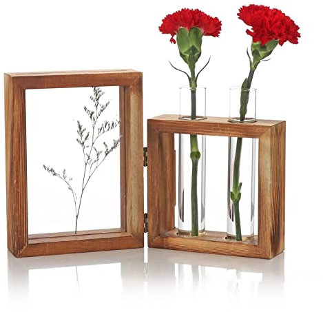 RXMORI Stazione di Propagazione delle Piante, Supporto in Legno con 2 Provette in Vetro Cornice in Legno Provetta Idroponica in Vetro Vaso Vaso da Fiori Ornamento da Tavolo per Piantare Acqua Fiore