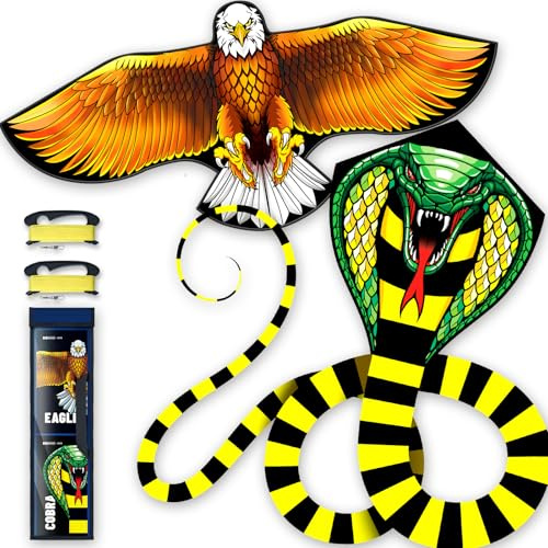 Doinfly Kite for Ages 8-12, Easy to Fly and Assemble Rocket Kites for Beginner, Single Line String Professional Kites for Beach and Outdoor Activity (Eagle & Snake Kite Set)