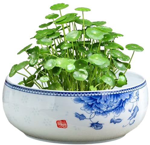 Otbushit Jardinières Pot de Fleurs en Forme de Bol Lotus, jardinière hydroponique en céramique avec Support en Bois pour la Plantation et Le Stockage en intérieur Cactus nénuphar