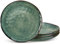 vancasso Dinner Plates Set, 10.5 Inch Scratch-Resistant Ceramic Plate, Microwave, Oven and Dishwasher Safe Dinner Plates Set of 4, Reactive Glaze and Vintage Green Look