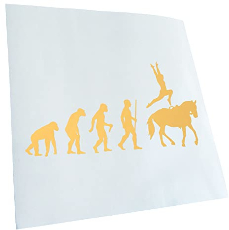 Kiwistar - Autocollant - Evolution pour dressage - creme - G24 - Pour voitures, vélos, véhicules, motos, cyclomoteurs, tuning, vitres arrière