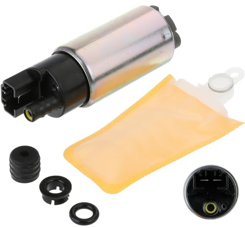 Bränslepump DELPHI FE0793-12B1