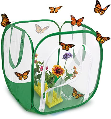 Baby Cube Schmetterlings-Käfig mit Zugbrücke, offener Tür und Beobachtungsfenster, 35,6 cm L x 35,6 cm B x 40,6 cm H, Erhöhen Sie bis zu 10 Monarchen mit aufklappbarem Lebensraum MONARCH BUTTERFLY