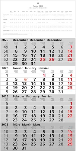 2026 Adina Wall Calendar, Four Month Calendar with Day Indicator, 60 x 30 cm