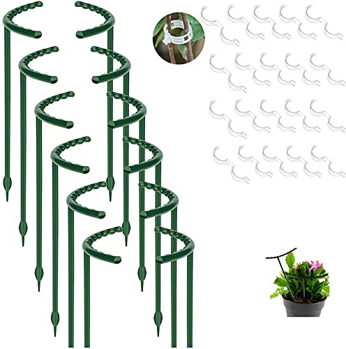 12 Pack Plant Support for Indoor and Outdoor Small Plants