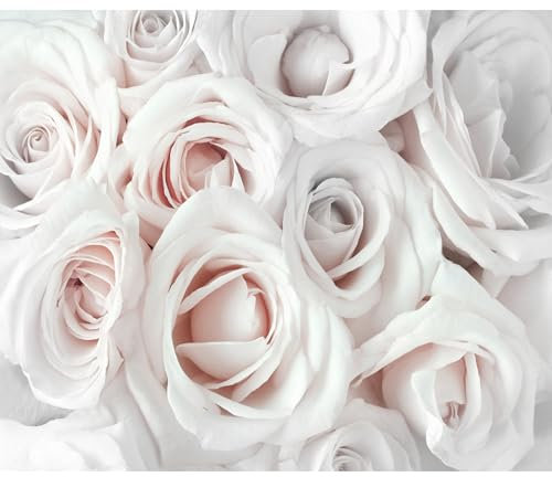 decomonkey Fototapete Rose 300x210 cm Design Tapete Fototapeten Tapeten Wandtapete moderne Wand Schlafzimmer Wohnzimmer Blumen Pflanzen Natur