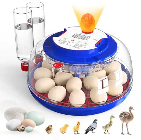 Incubators for Hatching Eggs, 18 Eggs Incubators with Egg Candler, Automatic Egg Turner, Temperature & Humidity Control, Full Viewing for Chicken, Duck, Quail, Goose, Parrot and Pigeon