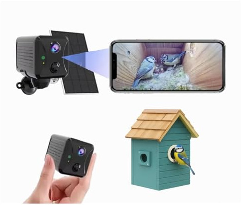 Solar Bird Box Camera – Wireless HD Nest Cam with Night Vision & WiFi | Stream Live Footage of Nesting Birds to Your Phone | Garden Wildlife Gift for Nature Lovers