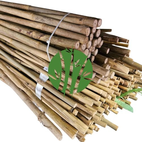 Set di 10 Tutori in Bambù Naturale – Pali per Pomodori, Sostegni per Piante da Interno ed Esterno – Bastoni per Orto e Giardinaggio – Lunghezze da 120 a 240 cm (H cm 180 X Ø mm 14-16)