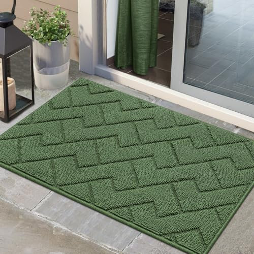 Biscpro Door Mat 60x90 cm, Indoor Doormat Washable, Doormat Indoor Dirt Trapper Non-Slip, Absorbent Inside Entrance Rug Floor Mat for Entryway, Patio, Garden, Laundry Room,Pets - Green