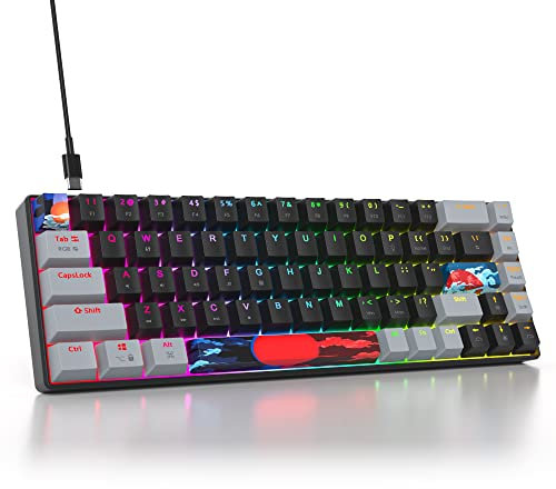 SOLIDEE mechanische Gaming Tastatur 65 Prozent,68 Tasten kompakte mechanische Tastatur RGB Hintergrundbeleuchtung,65 Prozent mechanisch QWERTY,Roter Schalter für Win/Mac PC Laptop(68 Dark)