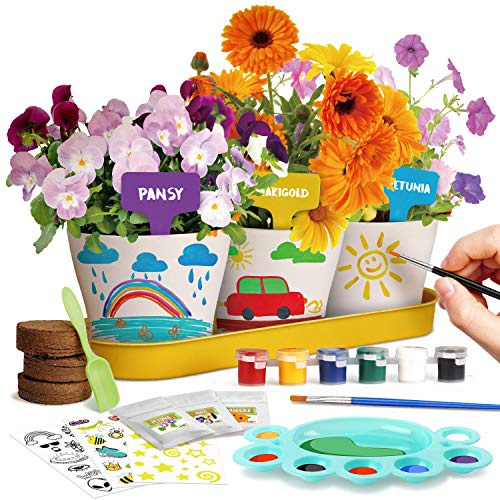 Dr. Daz målning trädgård odlingsset växter gåva barn blommor bonsai växter födning barn set experimentlåda från 4 5 6 7 8 9 10 år flicka