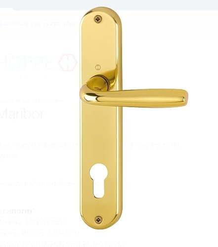 Maniglia in alluminio per porte interne, Maniglia Guarnitura con placca lunga (Distanza foro CILINDRO YALE 85mm, F271 alluminio colore oro lucido)